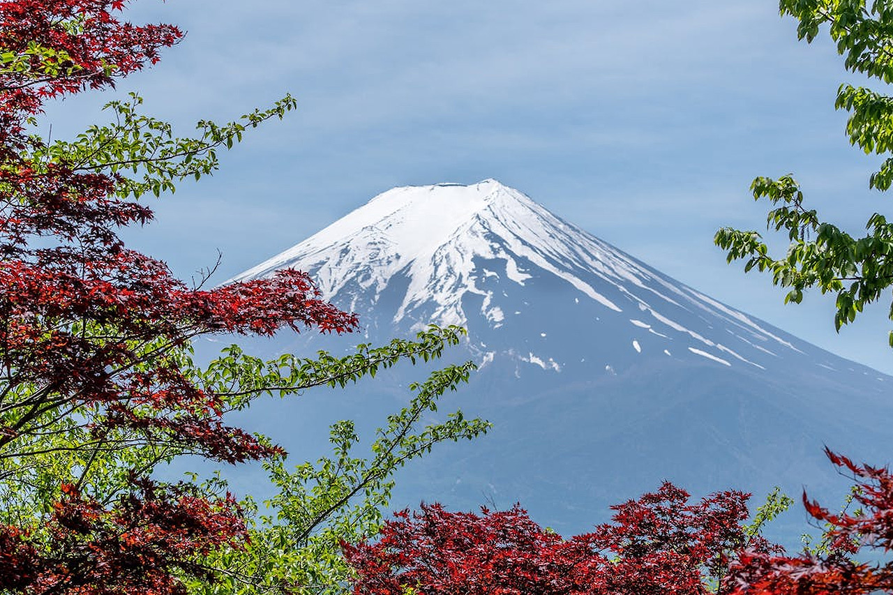 flight offers tokyo 1